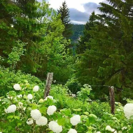 Apartment Red Rose Of Summer-garden Flat 60m2-geneva & & Mountains-wilena Home,full *