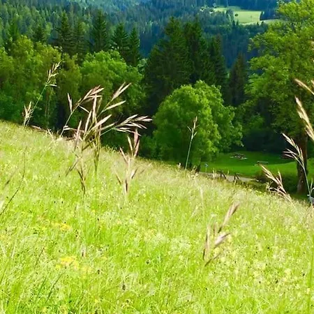 Red Rose Of Summer-garden Flat 60m2-geneva & & Mountains-wilena Home,full Chens-sur-Leman
