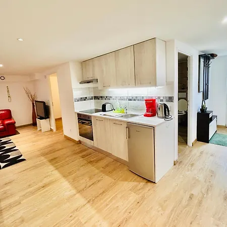 Apartment Red Rose Of Summer-garden Flat 60m2-geneva & & Mountains-wilena Home,full Chens-sur-Leman