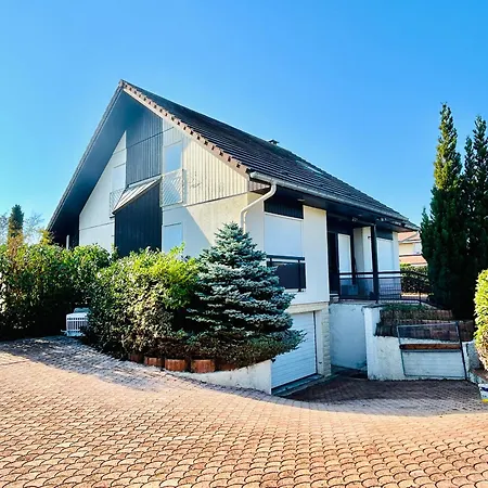 Red Rose Of Summer-garden Flat 60m2-geneva & & Mountains-wilena Home,full