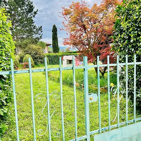 Red Rose Of Summer-garden Flat 60m2-geneva & & Mountains-wilena Home,full *