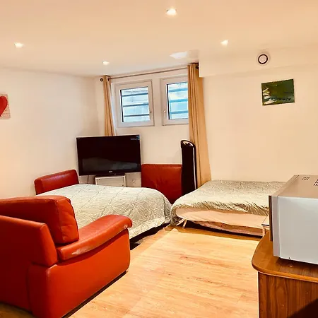 Red Rose Of Summer-garden Flat 60m2-geneva & & Mountains-wilena Home,full